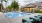 pool with tropical landscaping